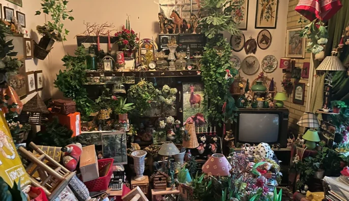 Ontruiming project rotterdam zuid