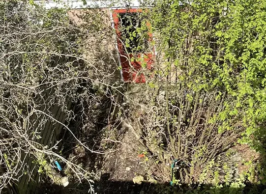 project tuin leeghalen