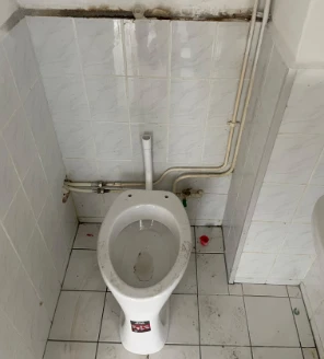 Ontruimingdezwart-klusdiensten-gallerij-12 Klusdiensten toilet