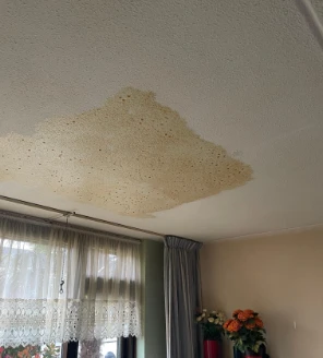 woningontruiming in malde schimmel