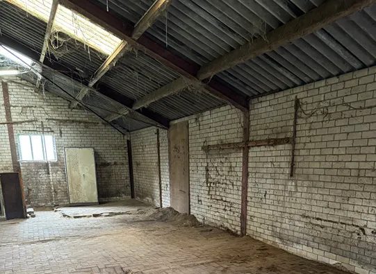 paardenstal ontruiming in den haag