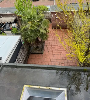 project-overwoekerde-tuin-gallerij (7) Tuin van bovenaf gezien na volledige schoonmaak, met strak gelegd terras