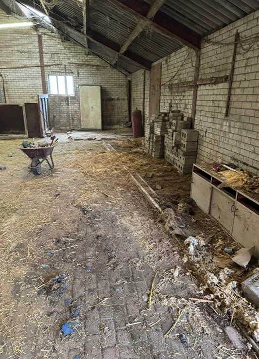 snelle ontruiming paardenstal in den haag