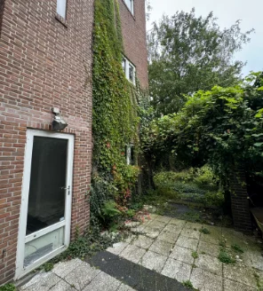 Tuin met overwoekerde gevel en vervuilde tegels voor schoonmaak