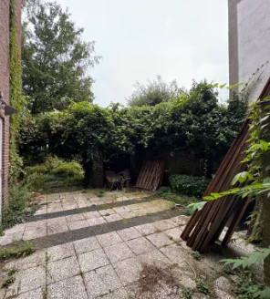 Terras met dichte begroeiing en rommelige opstelling vóór reiniging