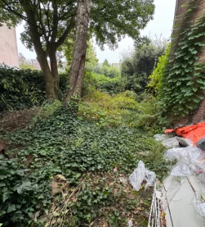 Verwaarloosde tuin vol onkruid en klimop vóór tuinontruiming