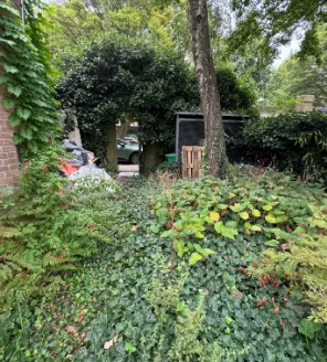 Begroeide tuinpoort met afvalmateriaal en dicht struikgewas