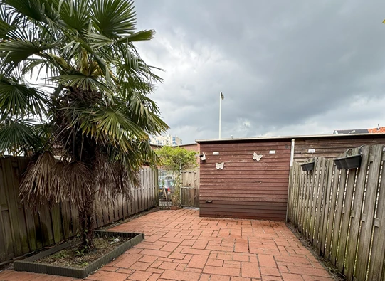 overwoekerde wildernis uitgelicht