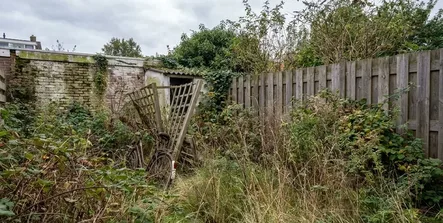 Overwoekerde tuin vlak voor het leeghalen